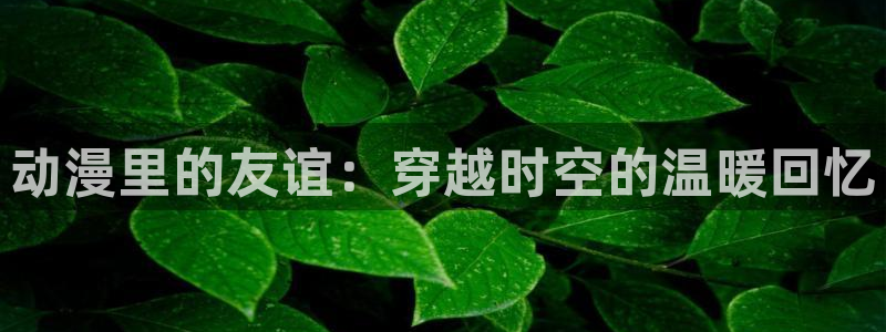 钢之炼金术师包子漫画：动漫里的友谊：穿越时空的温暖回忆